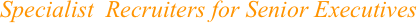 Specialist  Recruiters for Senior Executives